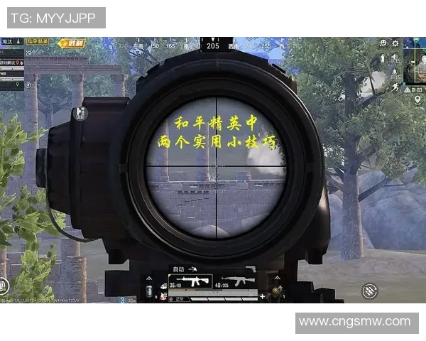 和平精英V5战术深度解析与实战应用全攻略 和平精英V5战术深度解析与实战应用全攻略