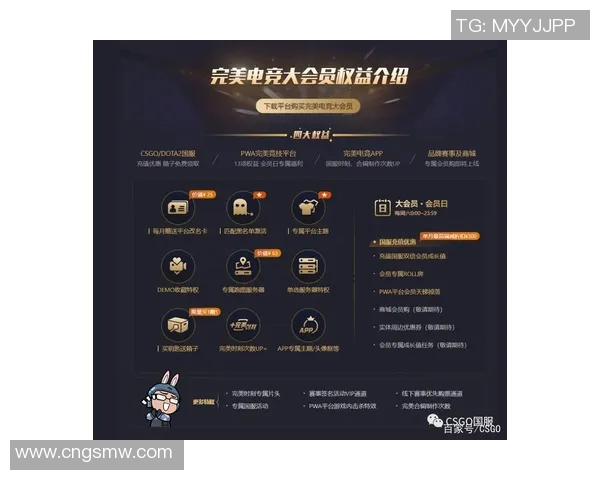 杭州排球队运营革新探索:提升竞技水平与商业价值的双重路径 杭州排球队运营革新探索:提升竞技水平与商业价值的双重路径