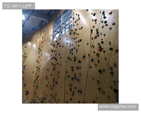 南京攀岩队的防反策略解析与攀岩热点发展趋势探讨 南京攀岩队的防反策略解析与攀岩热点发展趋势探讨