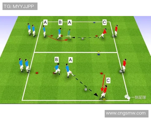 法国足球甲级联赛发展历程及其对欧洲足球的深远影响分析