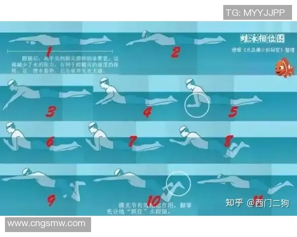 自由泳技巧全解析 从入门到提高的完整教学视频