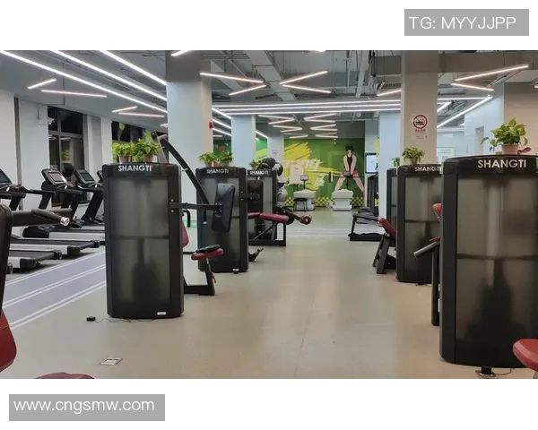 青衣运动场：打造全新体育休闲中心 提升市民健身与休闲体验